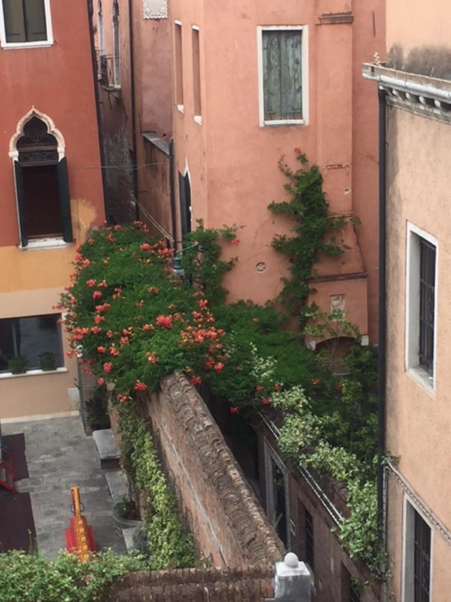 Venice Palace Tintoretto By Wonderful Italy חדר תמונה
